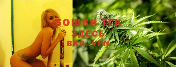 винт Михайлов